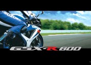 Suzuki GSX-R600